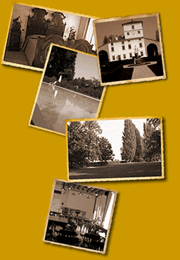 Cartoline