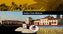 Cartolina